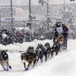 Sean Williams, a rookie musher from Chugiak, Alaska, takes his sled dogs through a snowstorm in downtown Anchorage, Alaska, on Saturday, March 5, 2022, during the ceremonial start of the Iditarod Trail Sled Dog Race. The competitive start of the nearly 1,000-mile race will be held March 6, 2022, in Willow, Alaska, with the winner expected in the Bering Sea coastal town of Nome about nine days later. (AP Photo / Mark Thiessen)