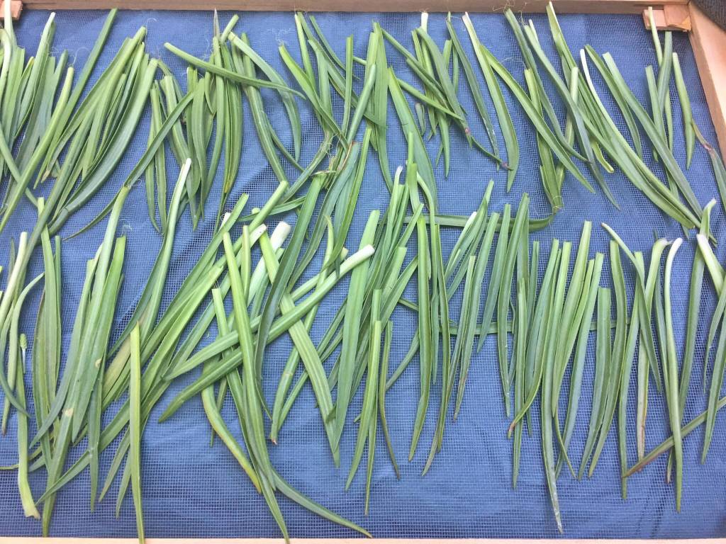 This photo shows drying goose tongue.