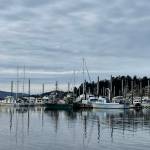 Michael S. Lockett / Juneau Empire
A boat at the Fishermans Bend pier caught fire Tuesday night, injuring one person, according to Capital City Fire/Rescue.