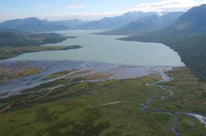 Chignik Lake is the first of two lakes in the Chignik River system; it is longer and deeper than the second lake, Black Lake, which is wide and shallow. (U.S. Fish & Wildlife Service)