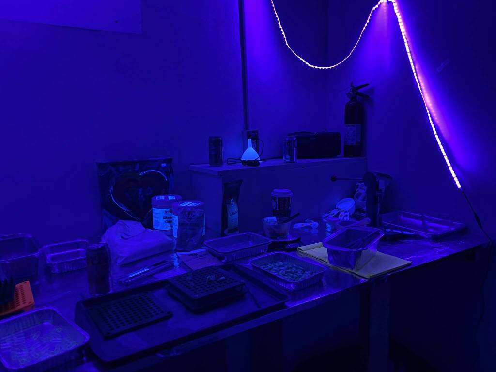 Military, federal and local organizations participated in a hazardous material emergency exercise which included simulated chemical threats like this narcotics lab mockup on March 22, 2022. (Michael S. Lockett / Juneau Empire)