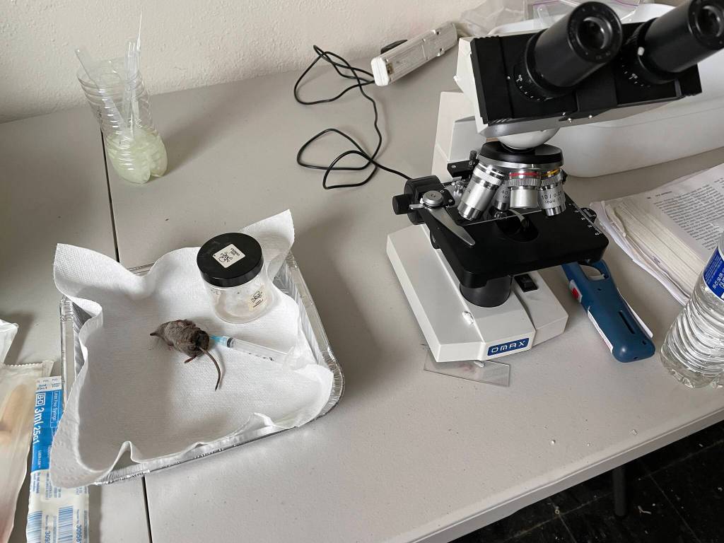 Military, federal and local organizations participated in a hazardous material emergency exercise which included simulated biological threats on March 22, 2022. (Michael S. Lockett / Juneau Empire)