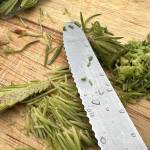 Left of knife: removing and chopping only needles, leaving the center stem. Right of knife: chopping the whole spruce tip including the stem. (Vivian Faith Prescott / For the Capital City Weekly)