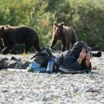 The handsome, brave and mysterious Drew Hamilton at one with the bears of Katmai. (Courtesy Photo / Drew Hamilton)