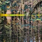 This photo shows Kettle Pond on a recent sunny day. (Courtesy Photo / Larry Johansen)