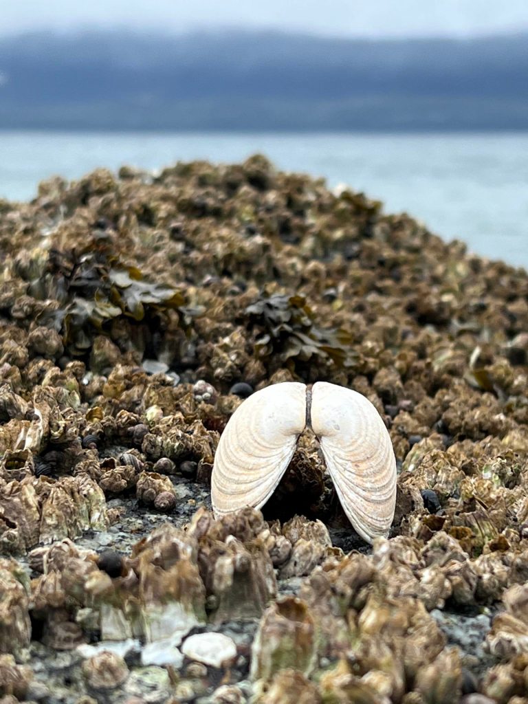 This photo was taken on the Bluff Trail at the end of North Douglas. (Courtesy Photo / Deana Barajas)