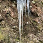 This photo was taken along the Salmon Creek Dam Trail. (Courtesy Photo / Deana Barajas)