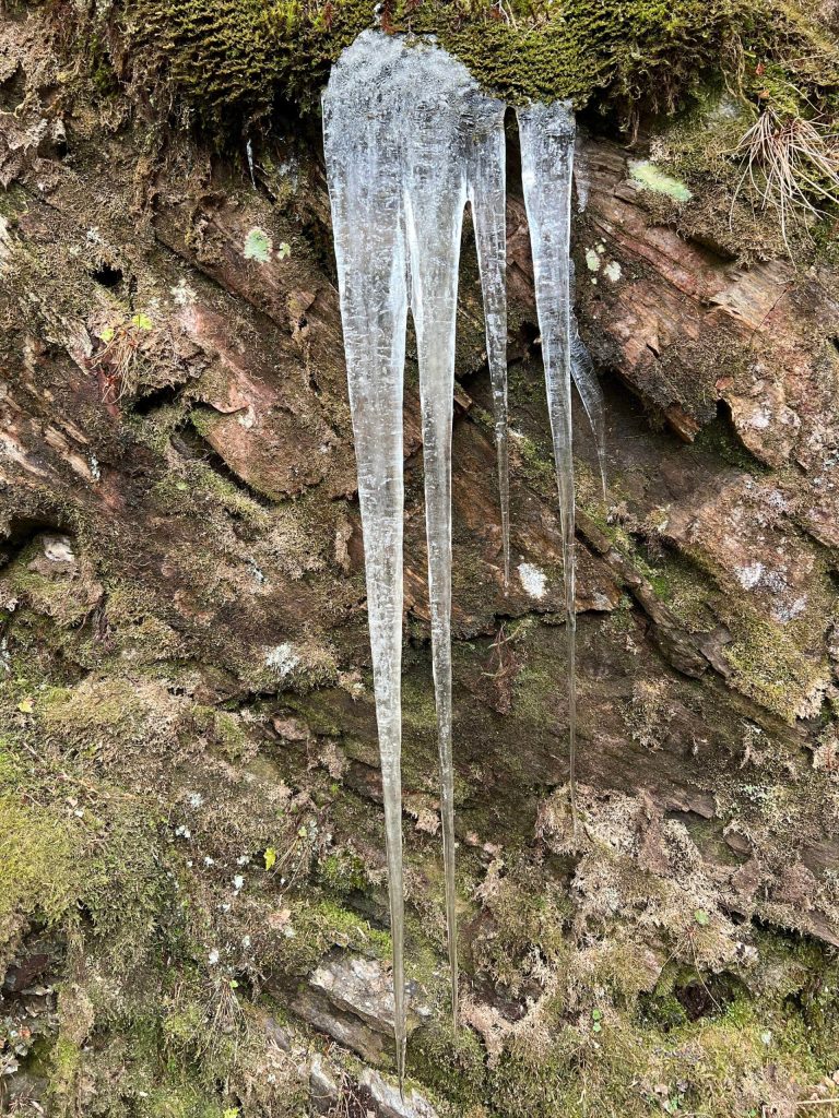 This photo was taken along the Salmon Creek Dam Trail. (Courtesy Photo / Deana Barajas)