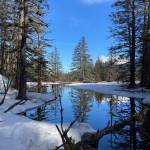 This photo was taken along the way to Point Bridget. (Courtesy Photo / Deborah Rudis)