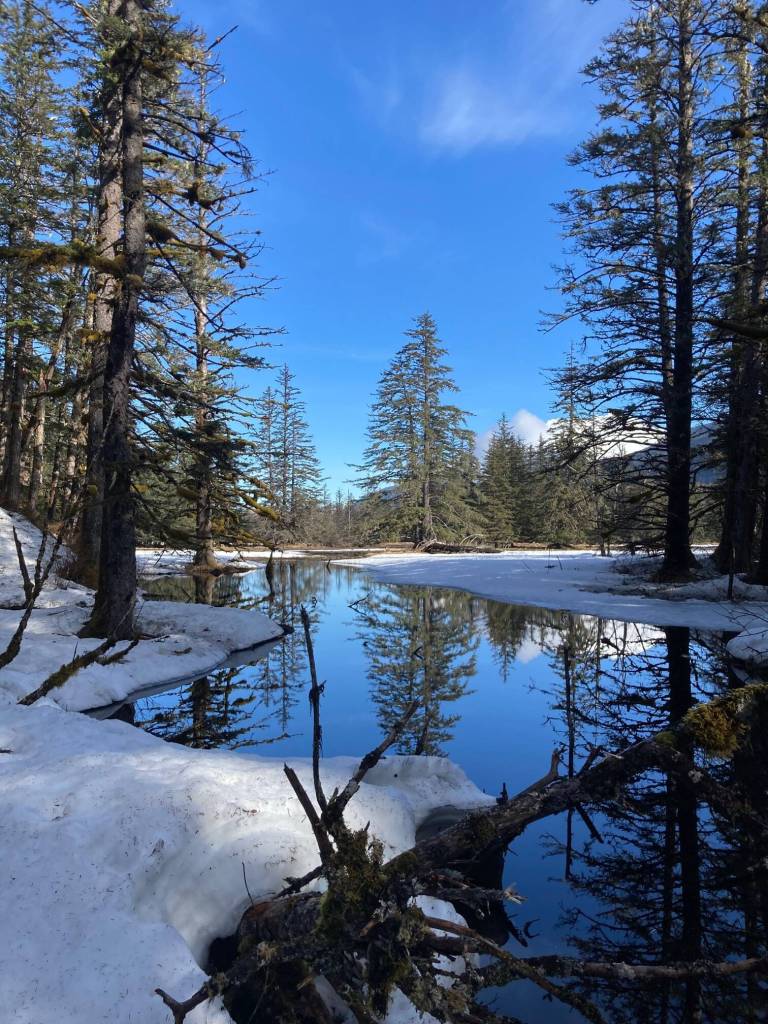 This photo was taken along the way to Point Bridget. (Courtesy Photo / Deborah Rudis)