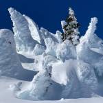 This photo shows snow creatures at Eaglecrest, writes Deborah Rudis. (Courtesy Photo / Deborah Rudis)