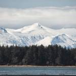 This photo shows the North Douglas forest with Admiralty Island National Monument snow covered peaks. (Courtesy Photo / Kenneth Gill, gillfoto)