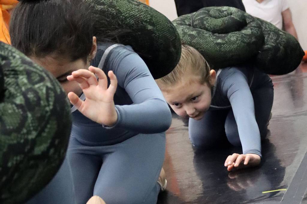 Snails (from left to right) Emily Feliciano-Soto and LeaDonna Castillo inch their way forward on Saturday April 16 during rehearsal for Carnival of the Animals. Juneau Dance Theatres spring showcase will feature performances April 22, 23 and 24. (Ben Hohenstatt / Juneau Empire)