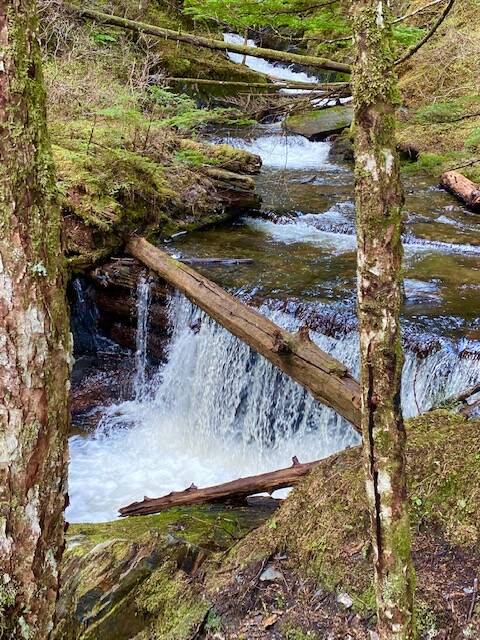 This photo shows Paris Creek Waterfall on May 11. (Courtesy Photo / Denise Carroll)