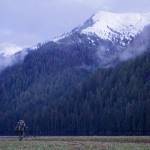 Ryan John makes his way to a glassing spot on a grass flat to look for black bears. (Jeff Lund / For the Juneau Empire)
Ryan John makes his way to a glassing spot on a grass flat to look for black bears. (Jeff Lund / For the Juneau Empire)