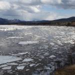 Yukon River ice flows down from the Canada portion of the river about 24 hours after the river broke up in front of Eagle, Alaska, the first U.S. town on the Yukon. (Courtesy Photo / Ned Rozell)