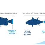 Of the more than 460 stoOf the more than 460 stocks managed by NOAA, 322 have a known overfishing status (296 not subject to overfishing and 26 subject to overfishing) and 252 have a known overfished status (201 not overfished and 51 overfished). (Courtesy Image / NOAA)