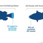 Of the more than 460 stocks managed by NOAA, 322 have a known overfishing status (296 not subject to overfishing and 26 subject to overfishing) and 252 have a known overfished status (201 not overfished and 51 overfished). (Courtesy Image / NOAA)