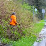 Michael S. Lockett / Juneau Empire 
Mike Kinville clears dead brush from near Douglas Highway as part of the cleanup of the cemetery near Lawson Creek on May 14, 2022.