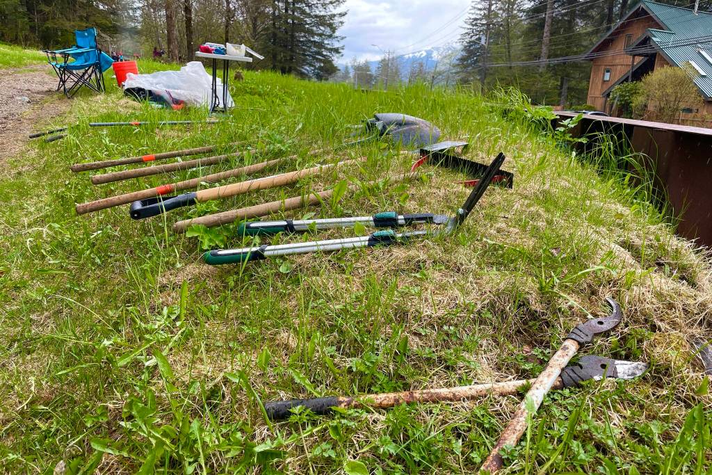 Michael S. Lockett / Juneau Empire 
Volunteers, including a number of staff, parents and kids from the Juneau Montessori School, cleared deadwood and undergrowth as part of the cleanup of the cemetery near Lawson Creek on May 14, 2022.