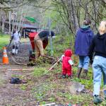 Volunteers clear deadwood and undergrowth as part of the cleanup of the cemetery near Lawson Creek on May 14, 2022. (Michael S. Lockett / Juneau Empire)