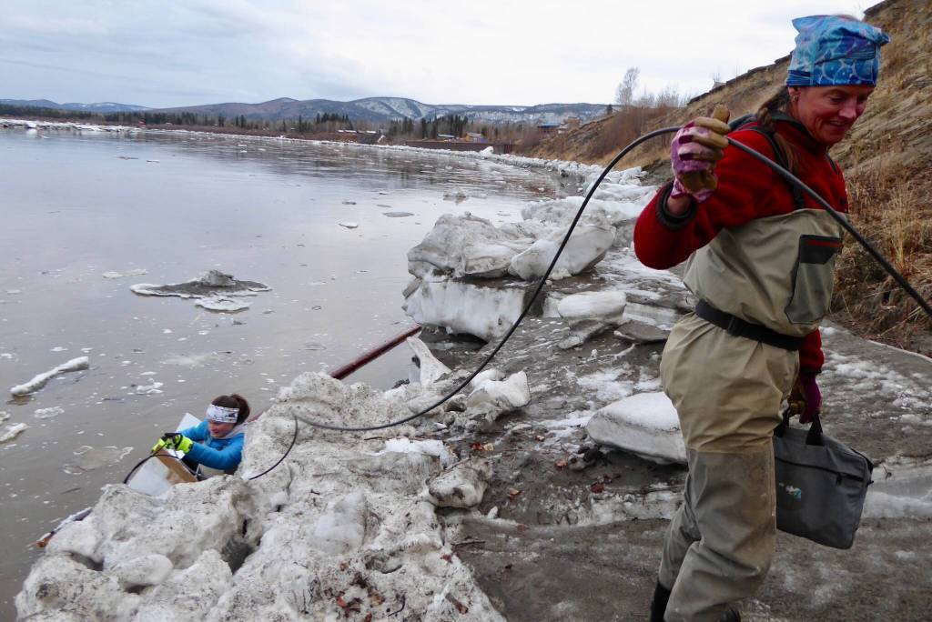 Liz Richards, left, a hydrologic technician for USGS, and Heather Best, a USGS hydrologist, repair a river-level measuring device that ice damaged during Yukon River breakup a few days earlier. (Courtesy Photo / Ned Rozell)