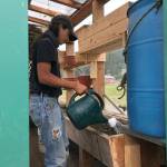 Hoonah’s Alaska Youth Stewards helped make improvements to Moby and water the plants in summer 2021. (Courtesy Photo / Jillian Schuyler)