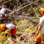 Members of Team Rubicon practice their chainsaw technique, one of the core skillsets for the volunteers, on Douglas Island on May 25, 2022. (Michael S. Lockett / Juneau Empire)