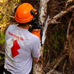 Brian Rougeux, a volunteer with Team Rubicon, practices his chainsaw technique on a downed tree as part of a training event for the disaster-relief organization on Douglas Island on May 25, 2022. (Michael S. Lockett / Juneau Empire)
