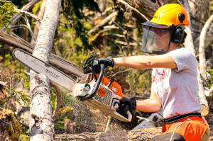 Sylvia Heinz, Team Rubicon's deputy administrator for Alaska, hones her chainsaw technique on a downed tree as part of a training event for the disaster-relief organization on Douglas Island on May 25, 2022. (Michael S. Lockett / Juneau Empire)