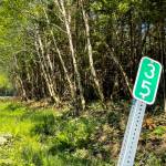 The Juneau Off-Road Association and Trail Mix Inc. have received a grant from Polaris to begin preliminary work on building an off-road vehicle park out beyond the 35-mile marker on Glacier Highway. (Michael S. Lockett / Juneau Empire)