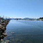 If warm weather and blue skies arent enough to tell its summer in Juneau, Slack Tide offers up 36 other sure signs of the season. (Ben Hohenstatt / Juneau Empire)