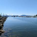 If warm weather and blue skies aren't enough to tell it's summer in Juneau, Slack Tide offers up 36 other sure signs of the season. (Ben Hohenstatt / Juneau Empire)