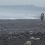 A scientist with a heavy backpack hikes the Lost Coast north of Lituya Bay to reach his study areas. (Courtesy Photo / Ned Rozell)