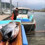 A king salmon is laid out for inspection by Alaska Department of Fish and Game at the Mike Pusich Douglas Harbor officials at the Golden North Salmon Derby on Aug. 25, 2019. King salmon in the Taku River have been on the decline in recent years. The cause of the decline remains undetermined. (Peter Segall / Juneau Empire)