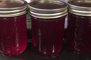 This photo shows elderberry jelly. You really have to trust who makes you red elderberry jelly and syrup, writes Yélk Vivian Mork . Theres cyanide in the stems, root, bark and seeds. (Yéilk Vivian Mork / For the Capital City Weekly)