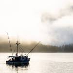 Commercial fishing remains an integral component of the Southeast economy. Finding ways to support this industry through infrastructure (eg. haul outs), workforce development, and careful and proactive management of fisheries and fish habitat, is essential for the industry to thrive long into the future. Photos in Sitka and Yakutat, (Courtesy Photo / Bethany Goodrich)