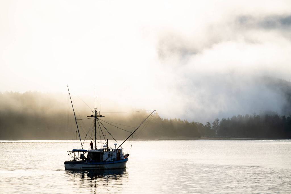 Commercial fishing remains an integral component of the Southeast economy. Finding ways to support this industry through infrastructure (eg. haul outs), workforce development, and careful and proactive management of fisheries and fish habitat, is essential for the industry to thrive long into the future. Photos in Sitka and Yakutat, (Courtesy Photo / Bethany Goodrich)