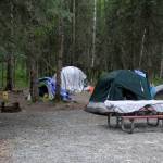Tents are shown Wednesday, July 6, 2022, inside Centennial Park in Anchorage, Alaska. State wildlife officials have killed four black bears in a campground recently set aside for the city's homeless population after Anchorage's largest shelter was closed. (AP Photo / Mark Thiessen)