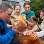 Ted Kubacki gets a lick from the family golden retriever, Lulu, outside their house after being reunited in Sitka, Alaska, on Thursday, July 7, 2022. The elderly, blind dog who had been missing three weeks, was found Tuesday, July 5, 2022, by a construction crew in salmonberry bushes after initially confusing her for a bear. Behind Ted is his wife, Rebecca, and their children Ella, Viola, Star, Lazaria and Olive. (James Poulson / The Daily Sitka Sentinel)