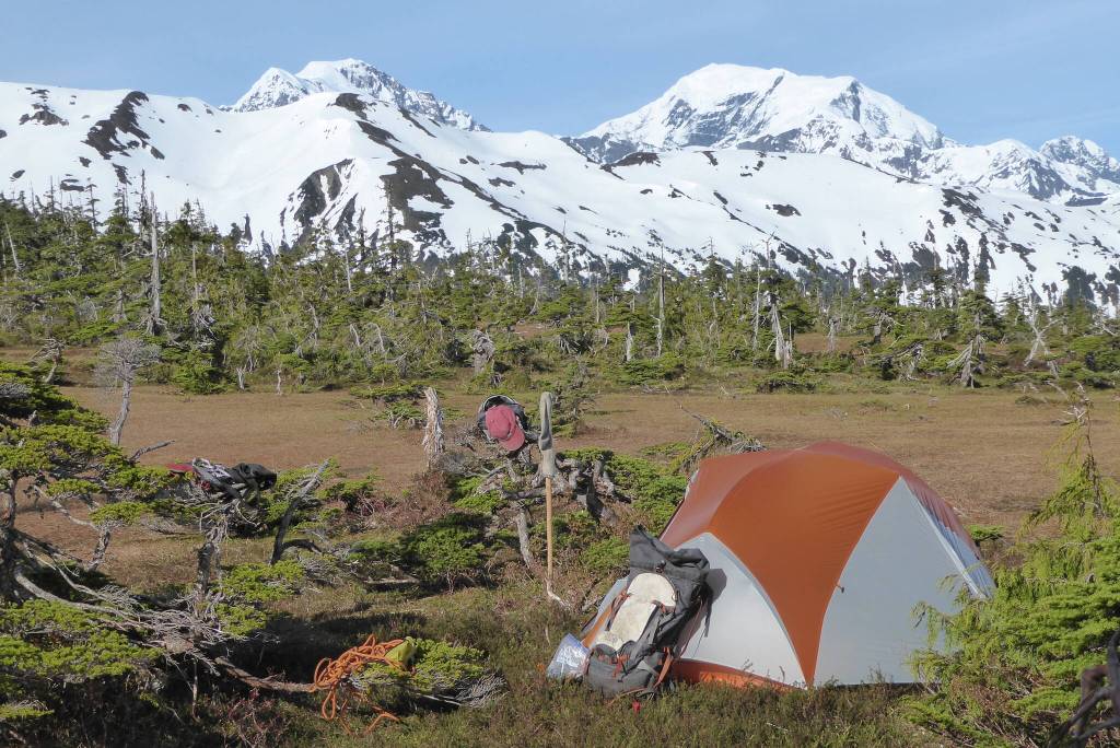 Dan Manns tent site on a plateau north of Lituya Bay that has risen 1,500 feet from the sea in the last 40,000 years. Photo by Ned Rozell.