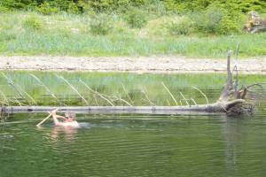 Dan Mann wades Echo Creek looking for a spot his scientific party can cross safely. The group ended up crossing the creek upstream of this point. (Courtesy Photo by Ned Rozell)