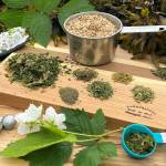 photos by Vivian Faith Prescott / For the Capital City Weekly 
This photo shows dried ingredients for furikake seasoning.