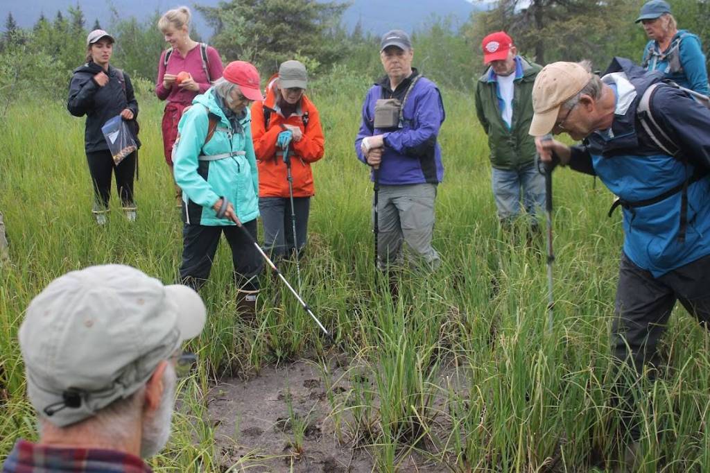 Discovery Southeast naturalists Richard Carstensen and Steve Merli examine a set of footprints in the mud with the help of other group members. (Clarise Larson // Juneau Empire)