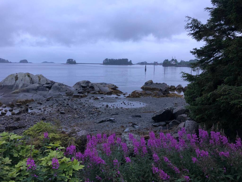 This photo shows Sitka Harbor on July 19. (Courtesy Photo / William Harrold)