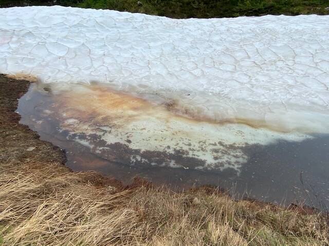 Partial melting of a mountainside pond seen on Eaglecrest Ridge on July 6. (Courtesy Photo / Denise Carroll)