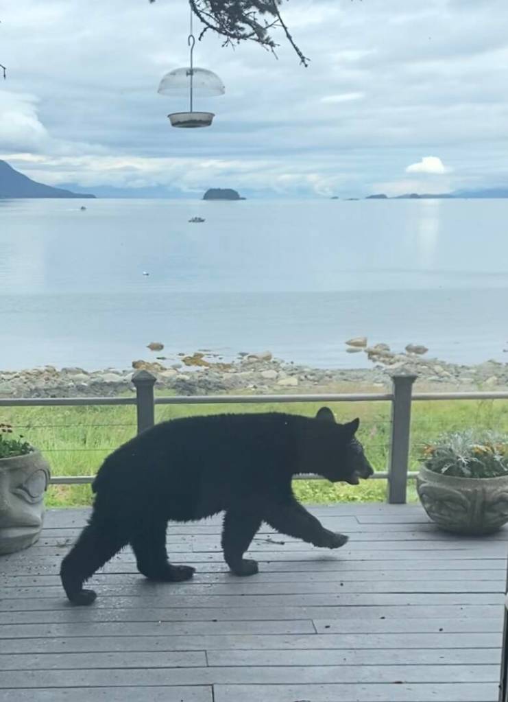 A Lena Loop home receives an afternoon visitor. (Courtesy Photo / Roger Walling)
