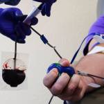 A donor gives blood at the Blood Bank of Alaskas Juneau center on Aug. 18, 2021. Summer months especially prove challenging for critical blood donations. (Ben Hohenstatt / Juneau Empire File)