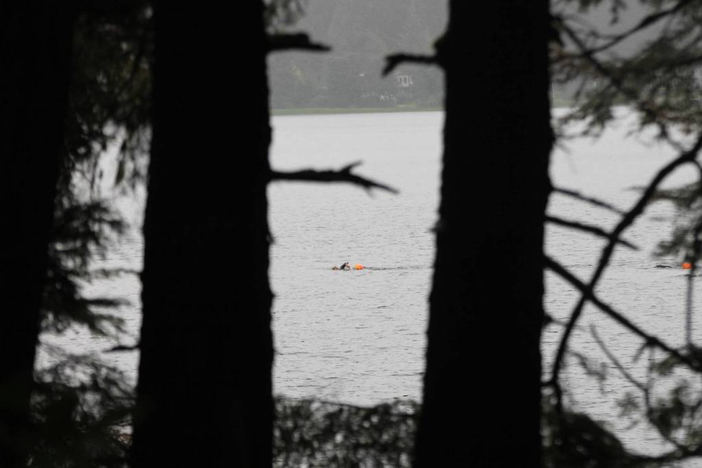 An athlete apart of the High Cadence Ironman team takes a breath of air midway through their swim in the chilly water of Auke Lake Wednesday night. (Clarise Larson / Juneau Empire)