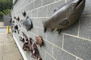 Marine life sculpted by Gary Staab and Ray Troll adorn the wall outside the University of Alaska Fairbanks College of Fisheries and Ocean Science building at Lena Point. UAF is offering a new Master of Marine Policy Program in partnership with University of Alaska Southeast. (Michael S. Lockett / Juneau Empire)